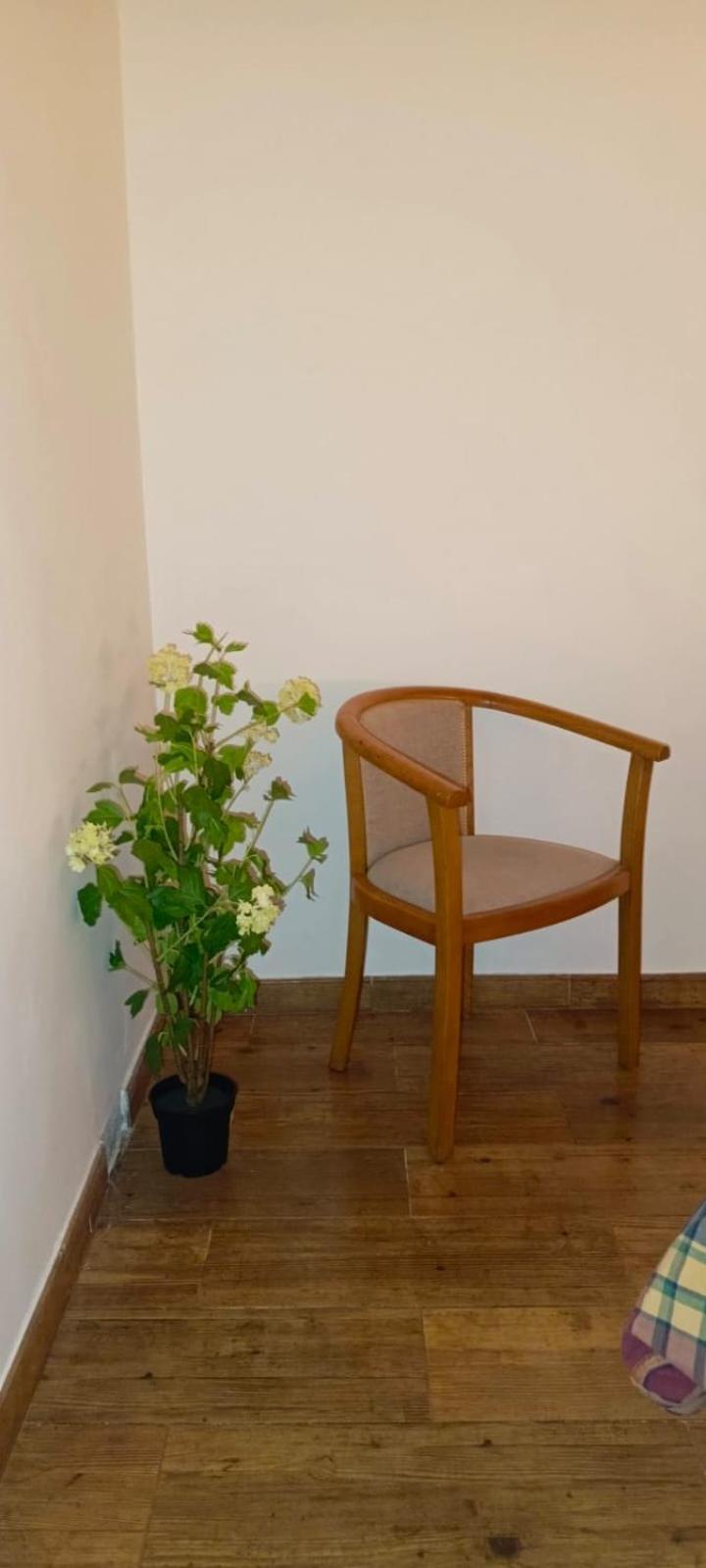 Vivienda Con Jardin Terraza Y Barbacoa Villa Picona Eksteriør billede